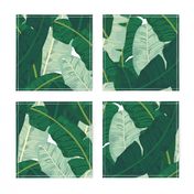 Classic Banana Leaves in Palm Springs Green - LARGER SCALE