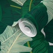 Classic Banana Leaves in Palm Springs Green - LARGER SCALE