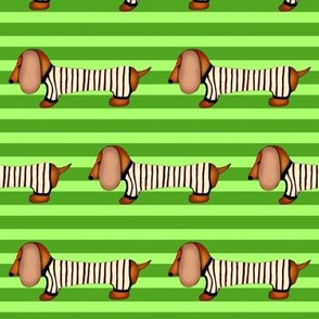 Sausage Stripe / Dachshund (dog)  in stripes on stripes - Green   