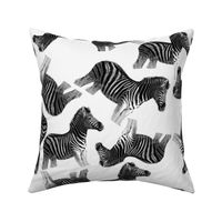 zebra white pattern