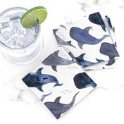 Whale Shark Pattern Party - Smaller Size