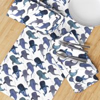 Whale Shark Pattern Party - Smaller Size