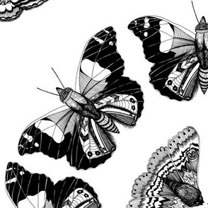 Moth Mandalas Black & White