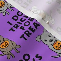 I do tricks for treats - halloween pit bulls - purple - LAD19