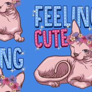 Feeling Cute Sphynx Cat Large