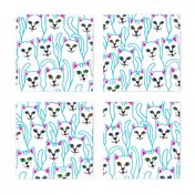 kitten kaboodle- blue outline-large