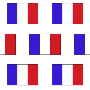 French Flag // Large