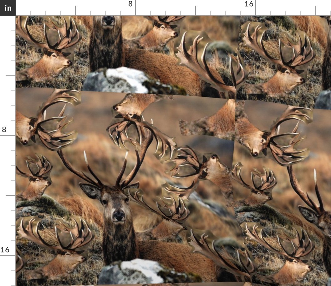 deer pattern print