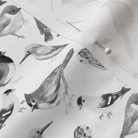Black and white watercolor backyard and pet birds