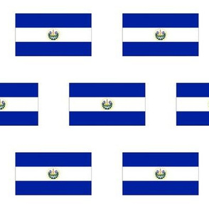 El Salvador Flag // Large