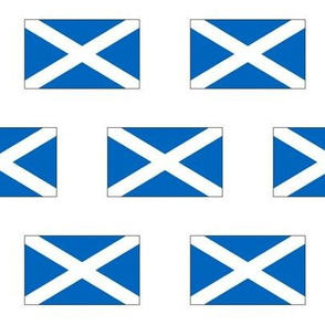Flag of Scotland // Large