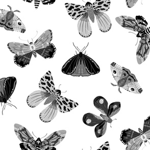 Lovely Moths - Scattered Black and White Large