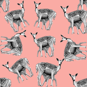pink bambi print pattern