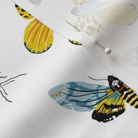 Lovely Moths - Scattered on White - Smaller
