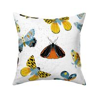 Lovely Moths - Scattered on Textured White - Medium