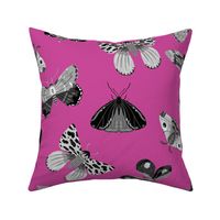 Lovely Moths - Scattered Black and White on Pink - Medium