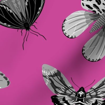 Lovely Moths - Scattered Black and White on Pink - Medium