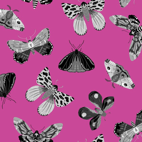 Lovely Moths - Scattered Black and White on Pink - Medium