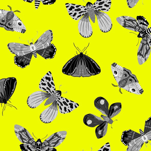 Lovely Moths - Scattered Black and White on Yellow - Medium