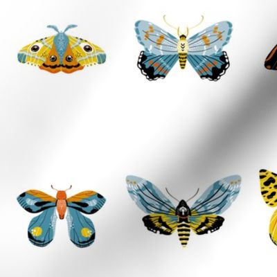 Moth Collection - Smaller