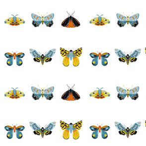 Moth Collection - Smaller
