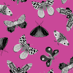 Lovely Moths - Scattered Black and White on Pink - Large