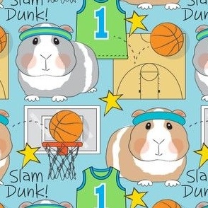 large basketball guinea pigs