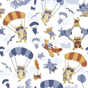 skydiving cats