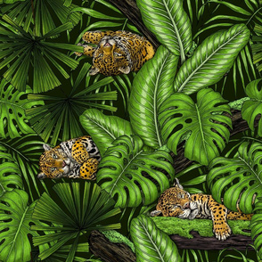 Jungle kitties