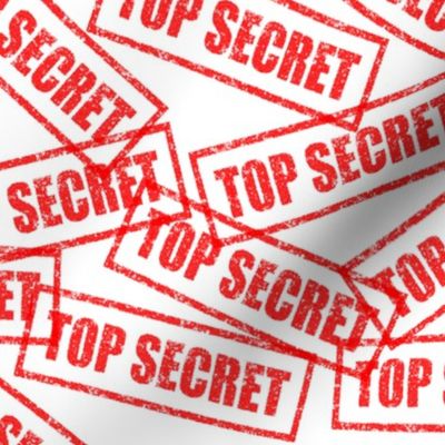 19 top secret security clearance government military authorized classified confidential privacy restricted mysterious privacy rubber stamp red ink pad documents files white background chop grunge distressed words seal pop art culture vintage retro current