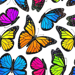 Rainbow Monarch Butterflies