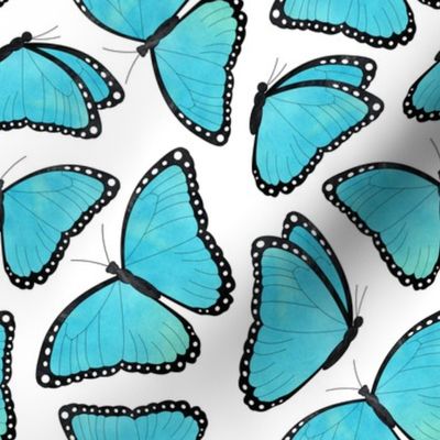 Morpho Blue Butterfly