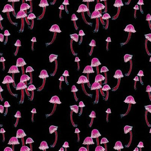 Tiny Pink Mushrooms