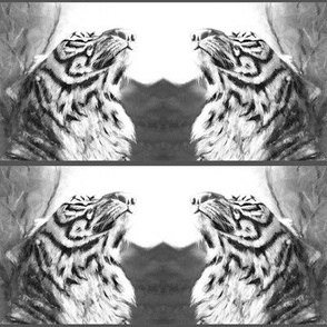 TIGER REFLECTION STRIPES FELINE CHALK PASTELS DRAWING Black and White grey PAYSMAGE