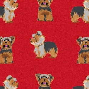 yorkie quilt dog red