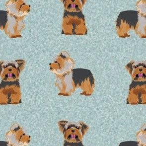 yorkie dog fabric  - dog fabric, yorkshire terrier fabric, blue