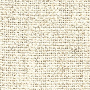 Burlap Texture // Parchment