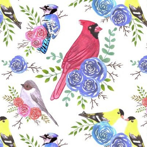 Cardinals, bush tits, blue jays and goldfinches on rose blossoms	