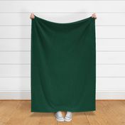 Basic solid dark green emerald gemstone 004433 fall winter trend colors