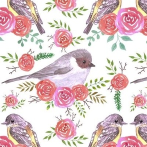  Bushtit and robins on perennial roses seamless watercolor painting	 