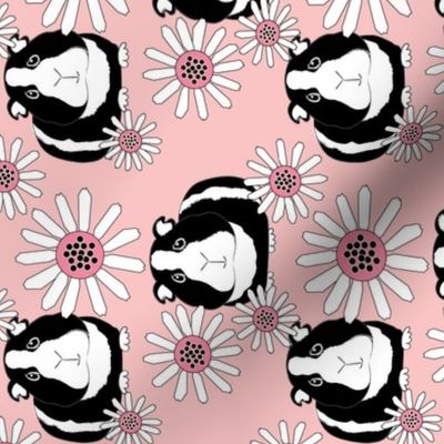 sideways guinea pigs and daisies black and white on pink