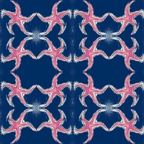 Pink starfish on navy