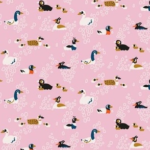 Little Pink Ducks