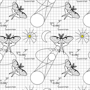 Moon Moth 