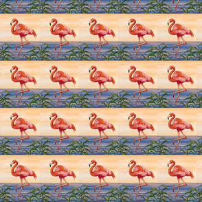 Flamingos