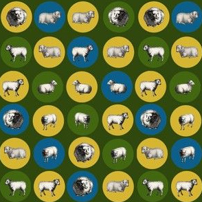 round sheep x 24 new with green background