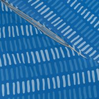 Diagonal Lines Duotone Blue-01-01
