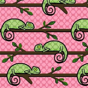 Cozy Chameleons  / Pink - Green 