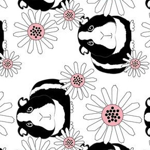 sideways guinea pigs and daisies black white pink