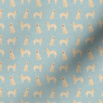 TINY -  golden retriever pet fabric, dog fabric, quilt b coordinate - light blue
